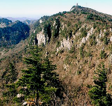 三门峡市-卢氏县-秦岭（伏牛山）·玉皇山（玉皇山国家森林公园）风景旅游区