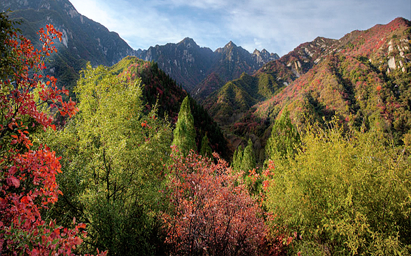 洛阳市-洛宁县-熊耳山·神灵寨（神灵寨国家森林公园·神灵寨国家地质公园）风景旅游区|4A