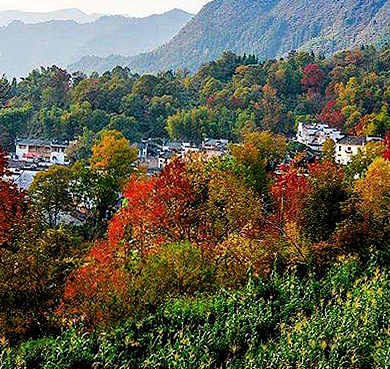 黄山市-黟县-宏村镇-塔川村·塔川（塔川秋色·塔川国家森林公园）风景旅游区