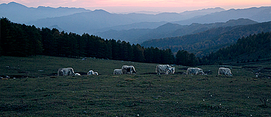 太原市-娄烦县-米峪镇乡-吕梁山·云顶山（2789米）风景区