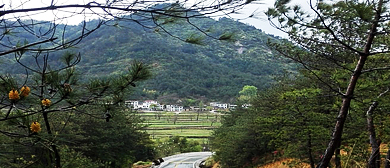 黄冈市-罗田县-九资河镇-大别山·青苔关（林场）风景区