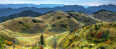 重庆市-城口县-大巴山·神田草原风景区