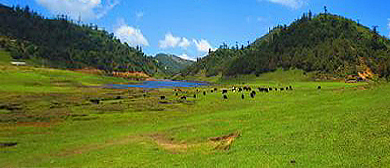 大理州-云龙县-漕涧镇-志奔山（龙潭）风景区