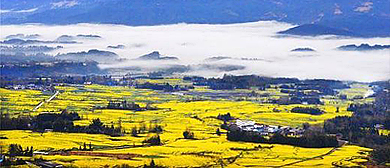 保山市-腾冲市-界头镇-高黎贡山（油菜花海）风景区