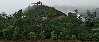 渭南市-富平县-美原镇-金粟山森林公园