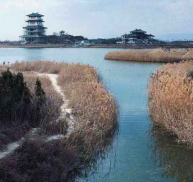 渭南市-蒲城县-陈庄镇-卤阳湖国家湿地公园