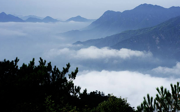 鹰潭市-贵溪市-青茅境（双圳林场）风景旅游区·阳际峰国家级自然保护区|4A