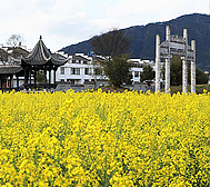 黄山市-黄山区-甘棠镇-庄里村