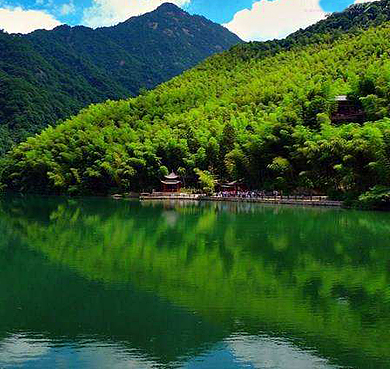 黄山市-黄山区-耿城镇-黄山（黄山北大门）芙蓉谷风景旅游区|4A