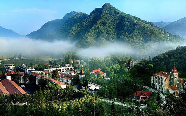 黄山市-黄山区-谭家桥镇-东黄山·茶林场（黄山东大门·黄山国家森林公园）风景旅游区|4A