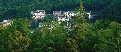 黄山市-黟县-宏村镇-木坑村·木坑竹海风景旅游区