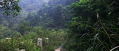 九江市-濂溪区-庐山·吴障岭风景区