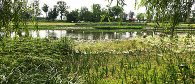 成都市-郫都区-云凌花乡·沱江（绿道）·云桥湿地公园