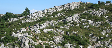 昆明市-西山区-西山·小石林风景区