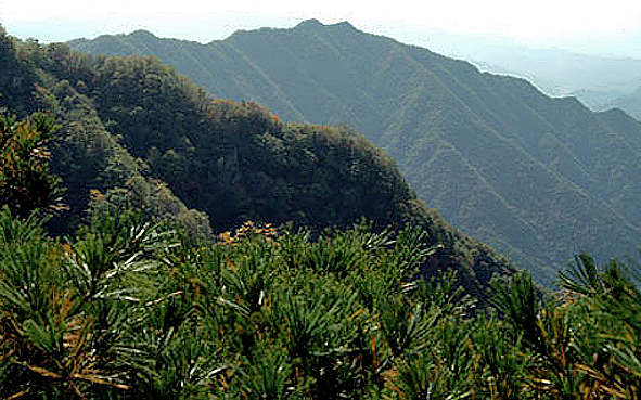 西安市-蓝田县-蓝桥乡-王顺山国家森林公园（秦岭）风景旅游区|4A