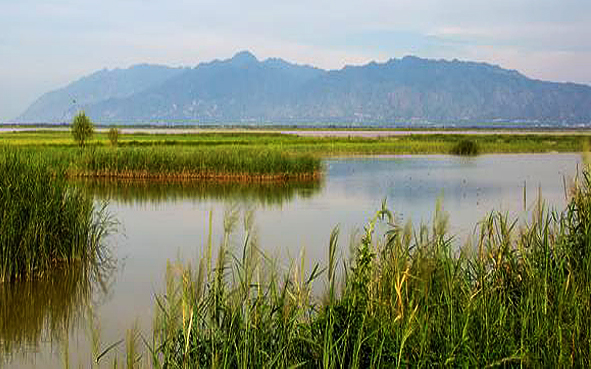 渭南市-大荔县-赵渡镇-大荔黄河湿地风景区