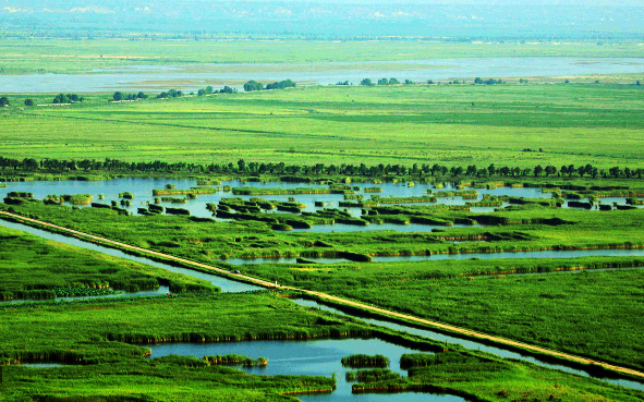 渭南市-合阳县-洽川镇-洽川（黄河湖泊湿地·洽川国家级风景名胜区）风景旅游区|4A