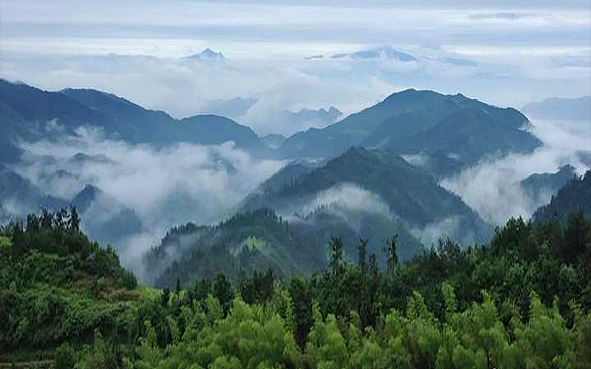 丽水市-缙云县-大洋镇-括苍山·大洋山（1500米）风景区