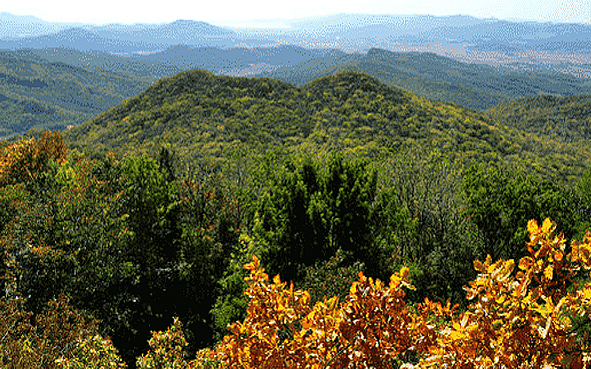 哈尔滨市-阿城区-松峰山镇-松峰山森林公园·自然保护区