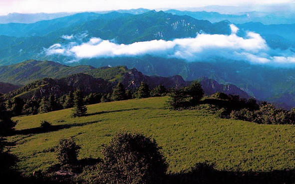 石家庄市-平山县-太行山·驼梁（驼梁山国家森林公园·驼梁国家级自然保护区·2281米）风景旅游区|4A