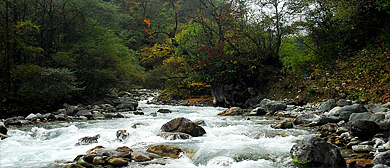 雅安市-宝兴县-永富乡镇-扑鸡沟风景区