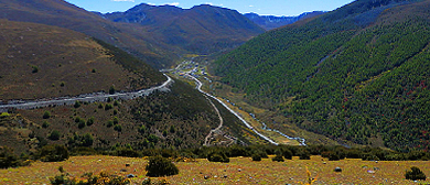 甘孜州-得荣县-日主共牧场风景区