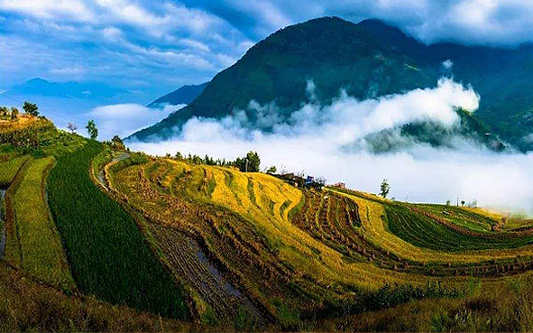 攀枝花市-米易县-新山乡-龙肘山·新山梯田（傈僳族村寨）风景旅游区