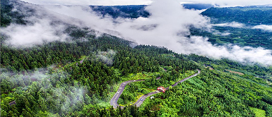 眉山市-洪雅县-柳江镇-玉屏山森林风景区