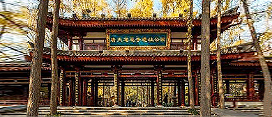 西安市-雁塔区-|唐|大慈恩寺遗址·公园