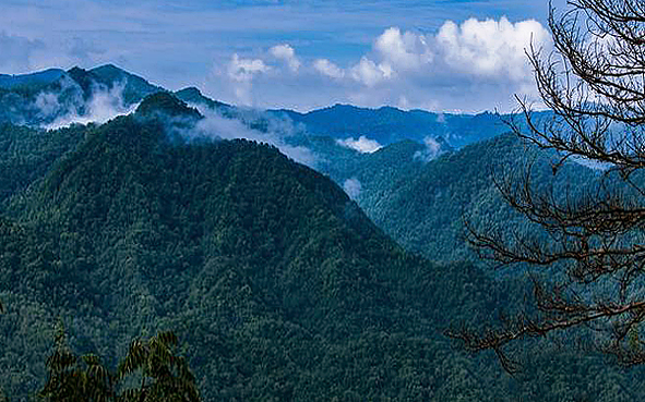 西安市-周至县-厚畛子镇-老县城村-秦岭·老县城国家级自然保护区