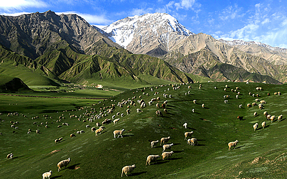 新疆兵团-昆玉市-昆仑山大峡谷（一牧场）风景旅游区