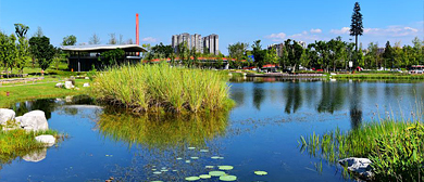 成都市-武侯区-江滩公园·府河风景区