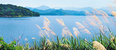 绍兴市-诸暨市-东白湖镇-东白湖生态风景旅游区