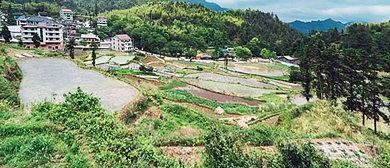 丽水市-青田县-方山乡-龙现村（中国田鱼村）