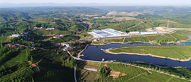 随州市-随县-洪山镇-云峰山万亩茶园风景旅游区