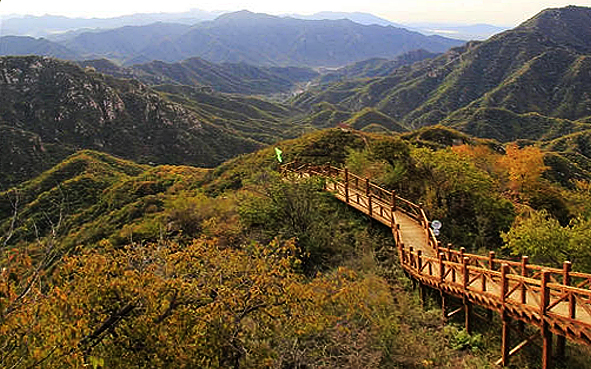 北京市-昌平区-十三陵镇-大岭沟村·猕猴桃谷风景区