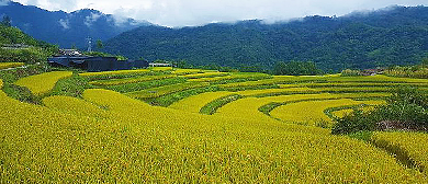 汉中市-佛坪县-岳坝镇-草林村·高山梯田风景区