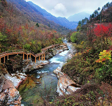 宝鸡市-太白县-黄柏塬镇-秦岭·黄柏塬国家级自然保护区