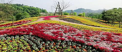 自贡市-贡井区-艾叶镇-六房村·花香田园风景旅游区