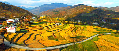 绵阳市-平武县-高村乡（熊猫生态小镇）·老河沟风景区