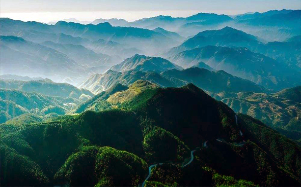 丽水市-景宁县-洞宫山·敕木山（1519米）风景区