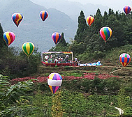 乐山市-沙湾区-太平镇-杜鹃醉花谷