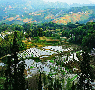 宜宾市-筠连县-高坎乡-高坎梯田风景区