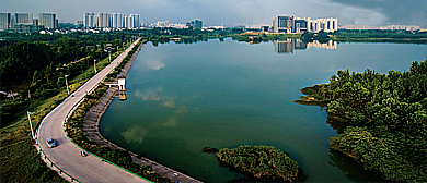 合肥市-瑶海区-少荃湖湿地风景区