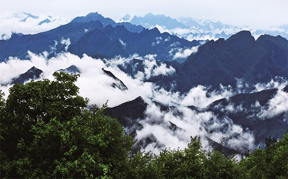 达州市-万源市-大巴山·花萼山（2380米）国家级自然保护区