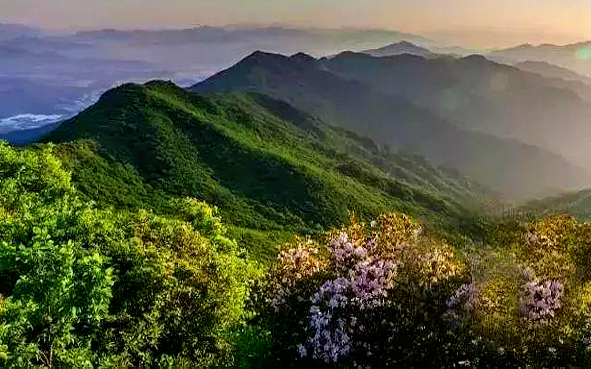 巴中市-巴州区-天马山国家森林公园