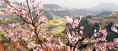 遂宁市-射洪市-桃花山村·风景旅游区