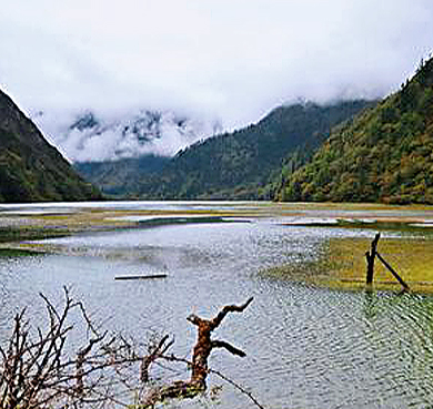 甘孜州-康定市-贡嘎山镇-贡嘎山·巴旺海风景区