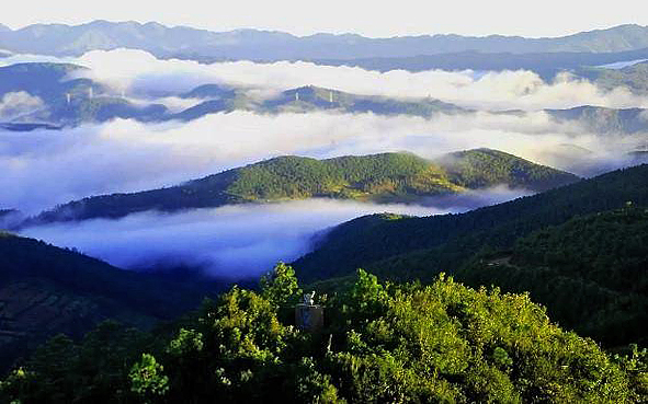 大理州-南涧县-无量山国家级自然保护区