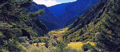 甘孜州-德格县-卡松渡乡-卡松渡村·金沙江（长江第一村）原始森林风景区